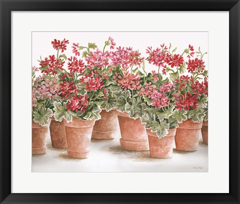 Framed Potted Geranium Mix I Print