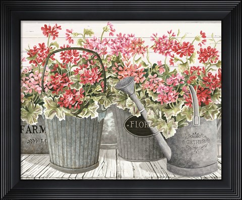 Framed Potted Geranium Mix II Print