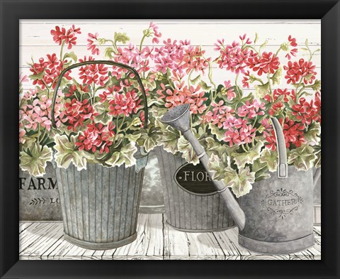 Framed Potted Geranium Mix II Print