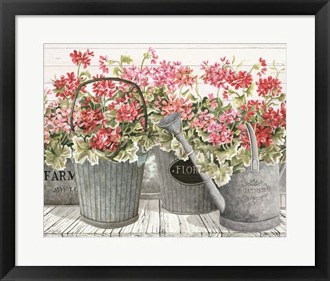 Framed Potted Geranium Mix II Print