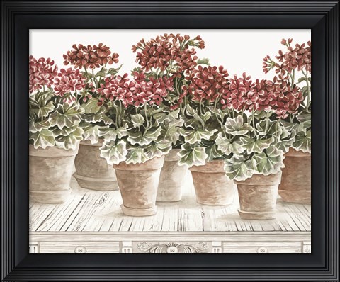 Framed Potted Geranium Mix III Print