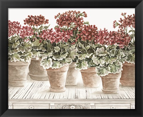 Framed Potted Geranium Mix III Print