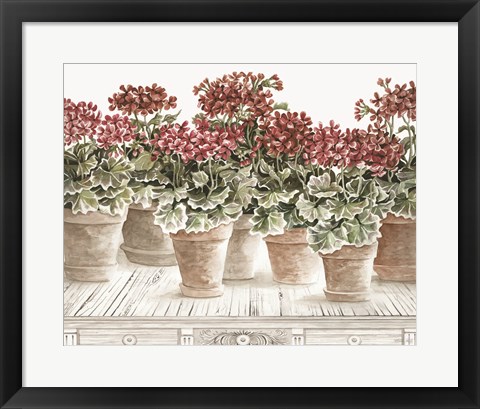 Framed Potted Geranium Mix III Print