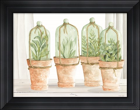 Framed Herb Collection Print