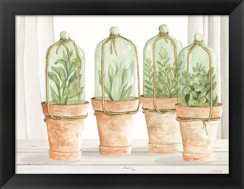 Framed Herb Collection Print