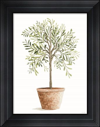 Framed Topiary II Print