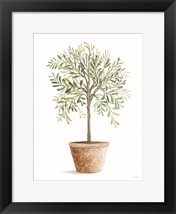 Framed Topiary II Print