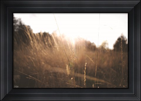 Framed Bright Sun Haze I Print