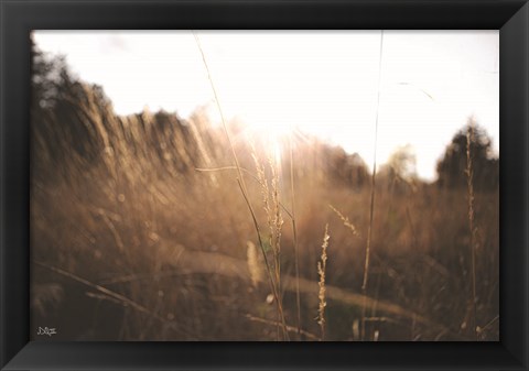 Framed Bright Sun Haze I Print