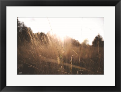 Framed Bright Sun Haze I Print