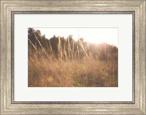 Framed Bright Sun Haze II Print