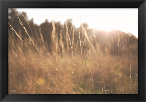 Framed Bright Sun Haze II Print
