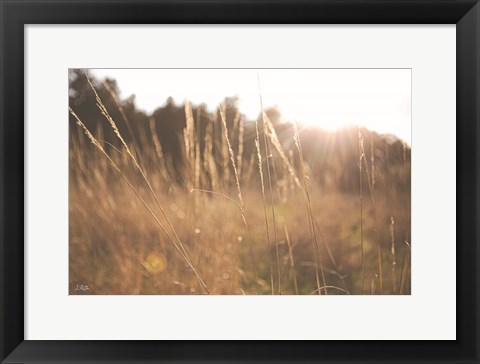 Framed Bright Sun Haze II Print