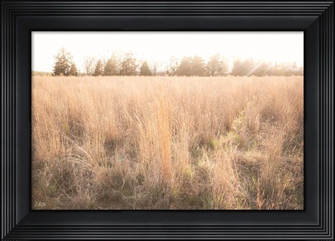 Framed Bright Sun Haze III Print