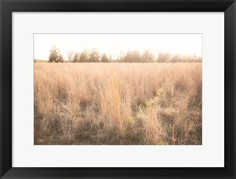 Framed Bright Sun Haze III Print