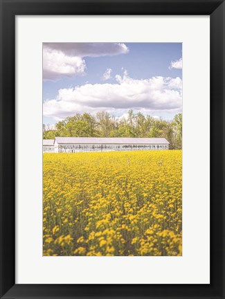 Framed Field of Yellow I Print