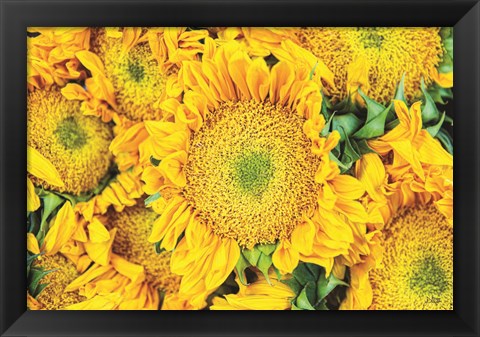 Framed Sunflower Summer Print