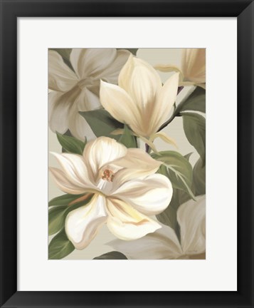 Framed Magnolia Blossoms I Print