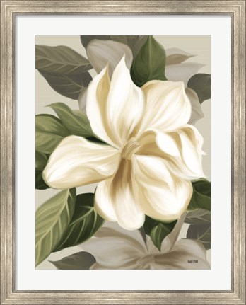 Framed Magnolia Blossoms II Print