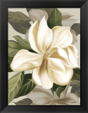 Framed Magnolia Blossoms II Print