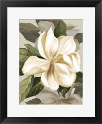 Framed Magnolia Blossoms II Print