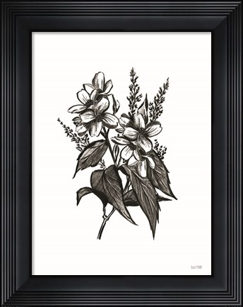 Framed Pen and Ink Wildflower I Print