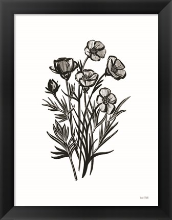 Framed Pen and Ink Wildflower II Print