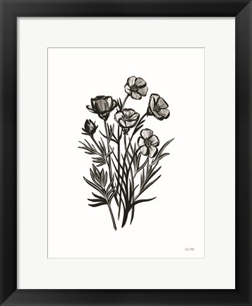 Framed Pen and Ink Wildflower II Print