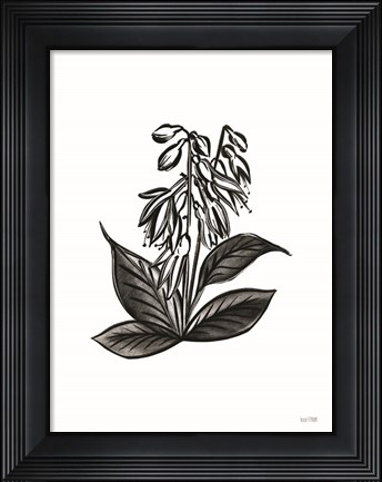 Framed Pen and Ink Wildflower III Print