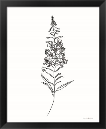 Framed Fireweed Print