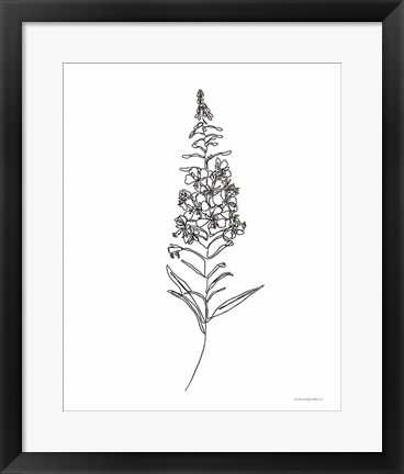 Framed Fireweed Print