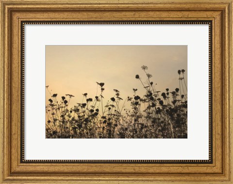 Framed Sunset Lace Print