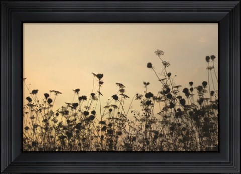 Framed Sunset Lace Print