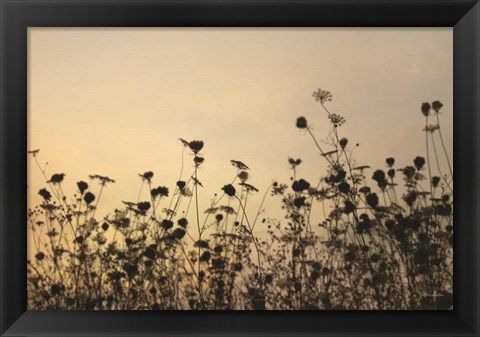 Framed Sunset Lace Print