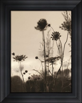 Framed Queen Anne Silhouettes Print