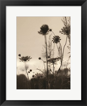 Framed Queen Anne Silhouettes Print