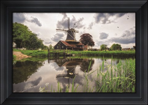 Framed Beauty in the Sky Print