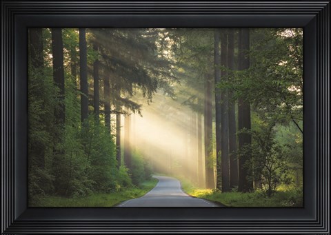 Framed Road Print