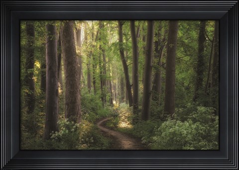 Framed Spring Chaos Print
