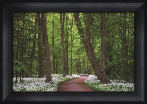 Framed Fragrant Road Print