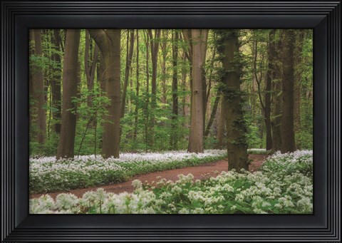 Framed White Carpet Print