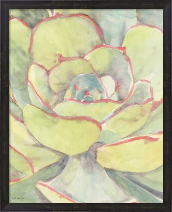 Framed Succulent Bloom 2 Print