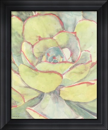 Framed Succulent Bloom 2 Print