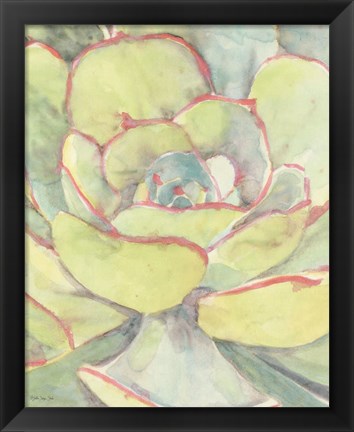 Framed Succulent Bloom 2 Print