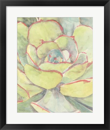 Framed Succulent Bloom 2 Print