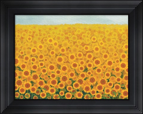 Framed Field of Sunflowers Print