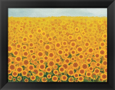 Framed Field of Sunflowers Print