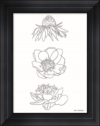 Framed Hand Drawn Flowers Print