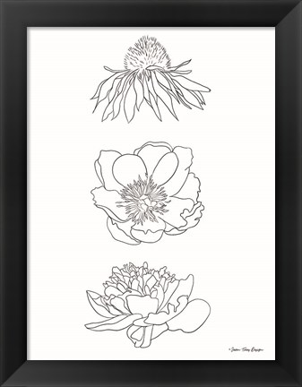 Framed Hand Drawn Flowers Print