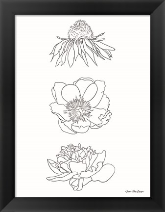 Framed Hand Drawn Flowers Print
